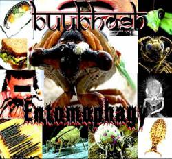 Buubhosh : 13 - Entomophagy